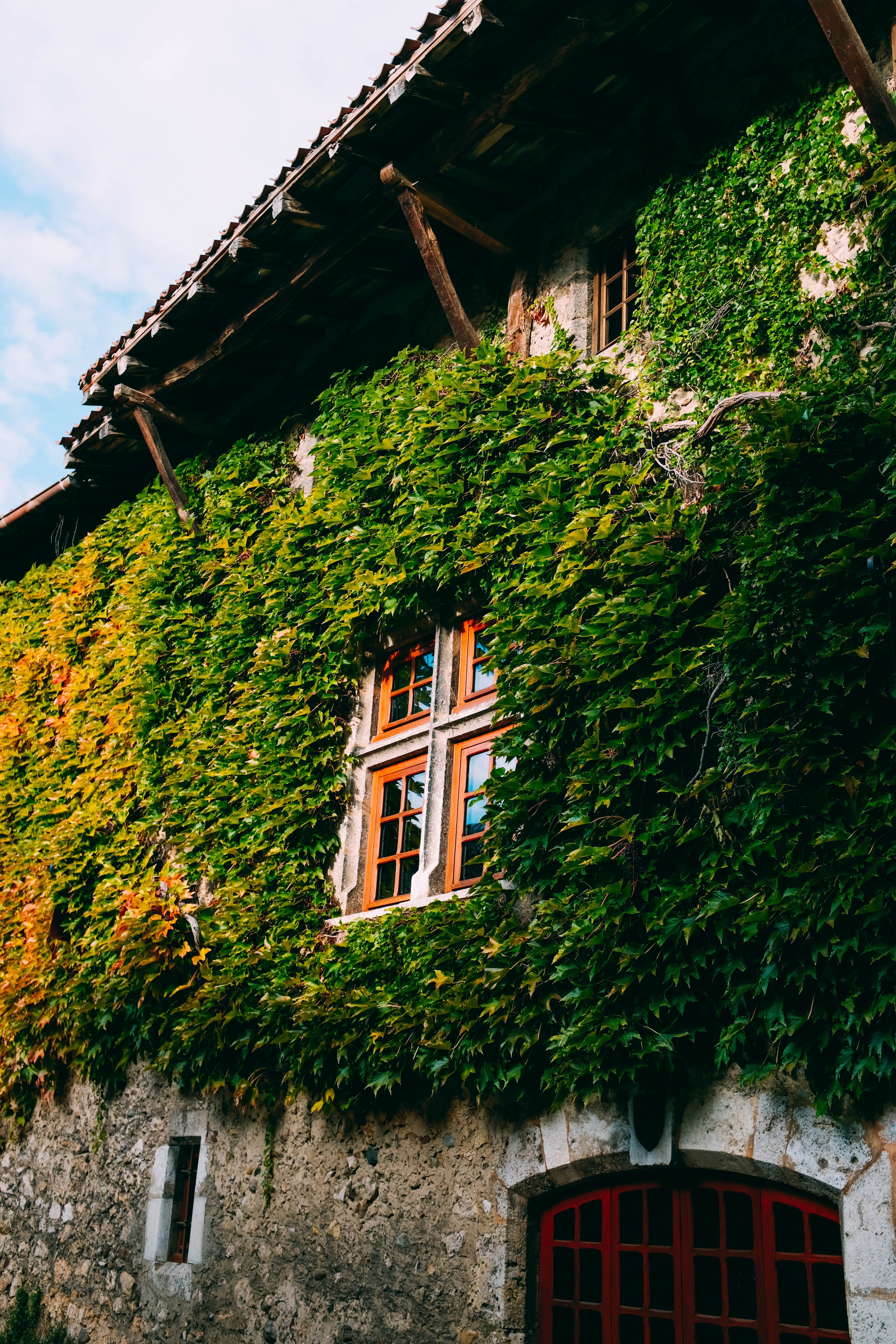 Urban Farming: Cultivating Food Security in Cities