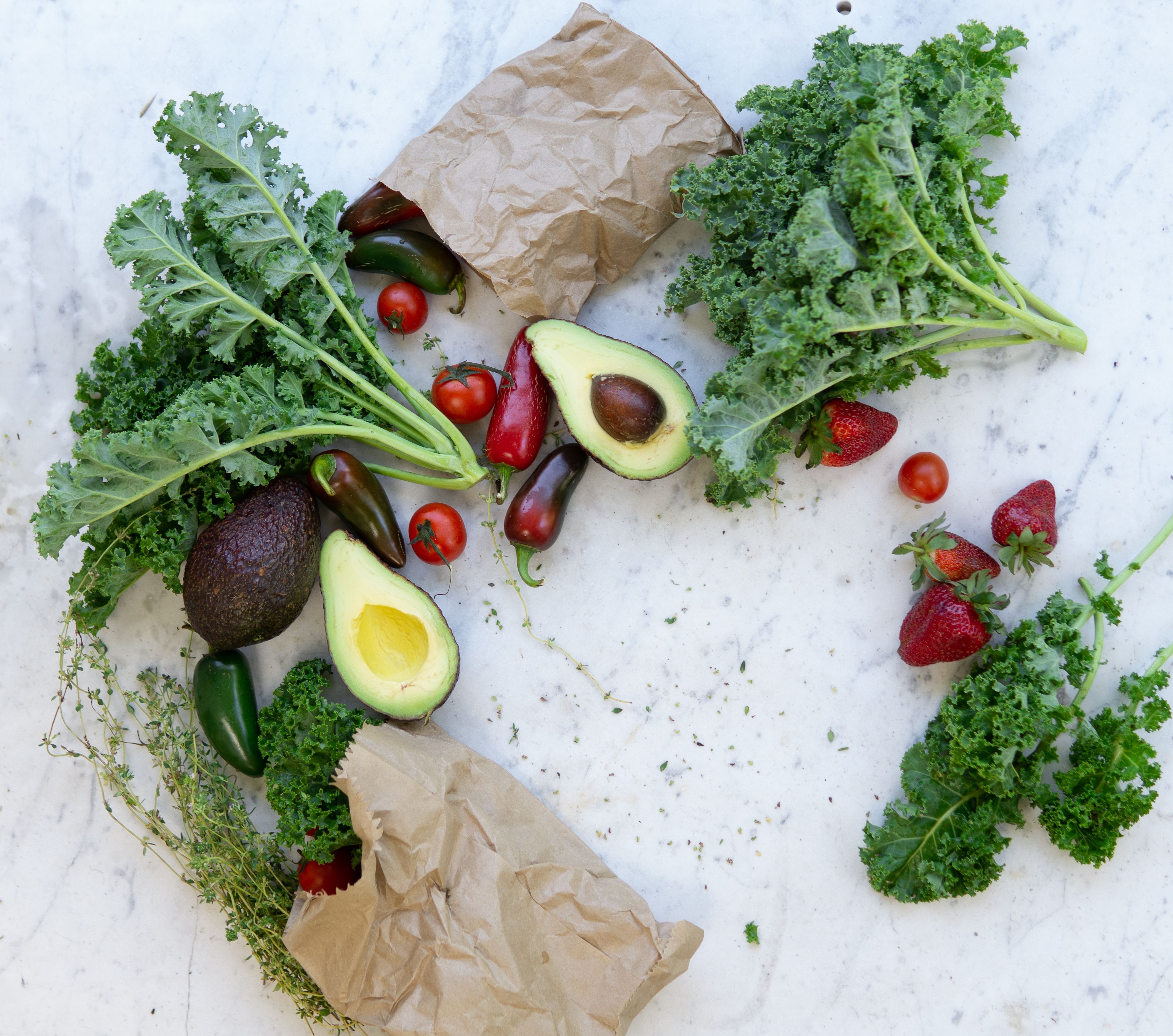 Understanding Vitamin K Deficiency: Causes, Symptoms, and Treatment