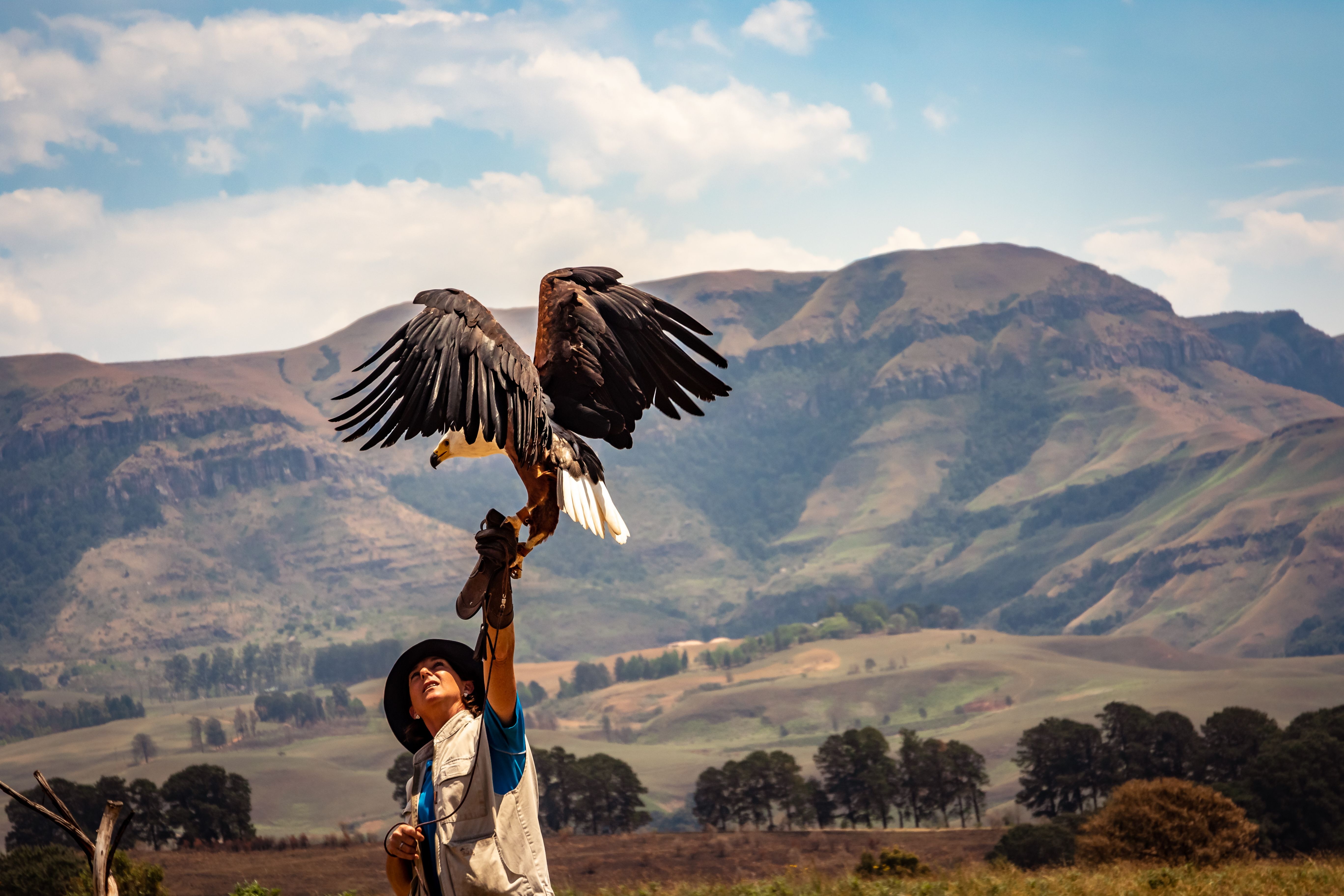 Why Conservation Efforts Are Crucial for Our Future