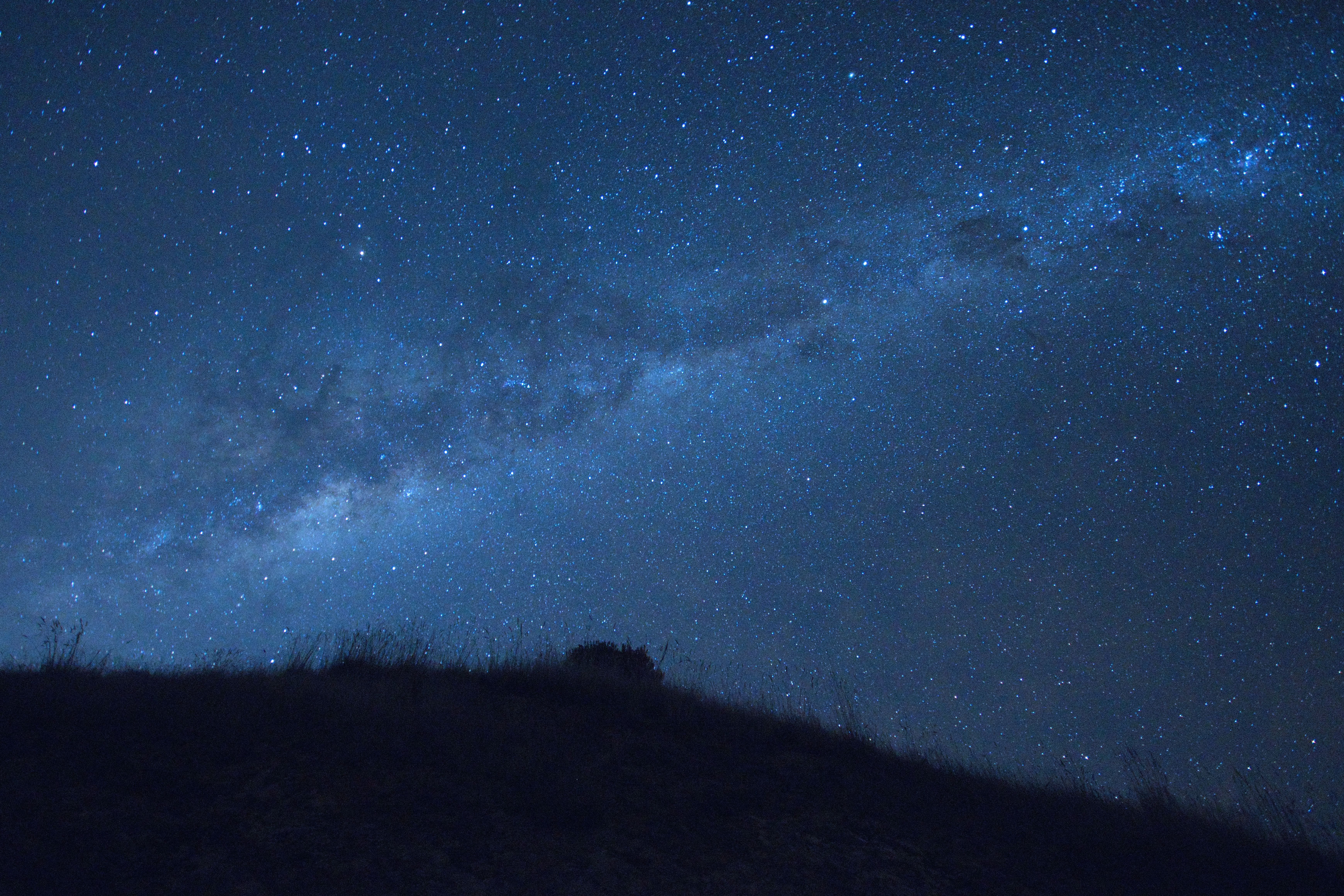 Discovering the June Night Sky: Constellations Illuminating India