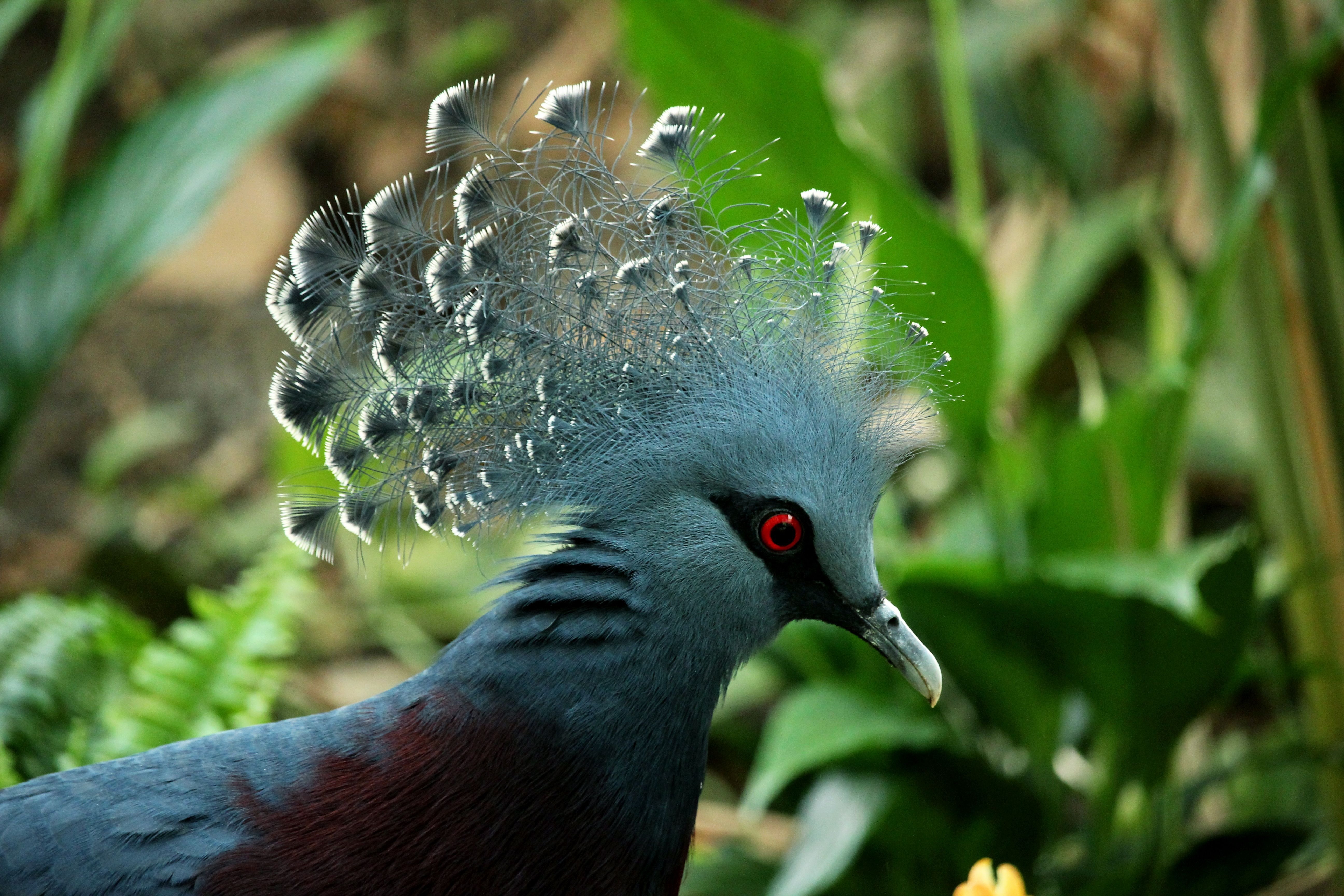 Citizen Science: How You Can Contribute to Wildlife Conservation Efforts