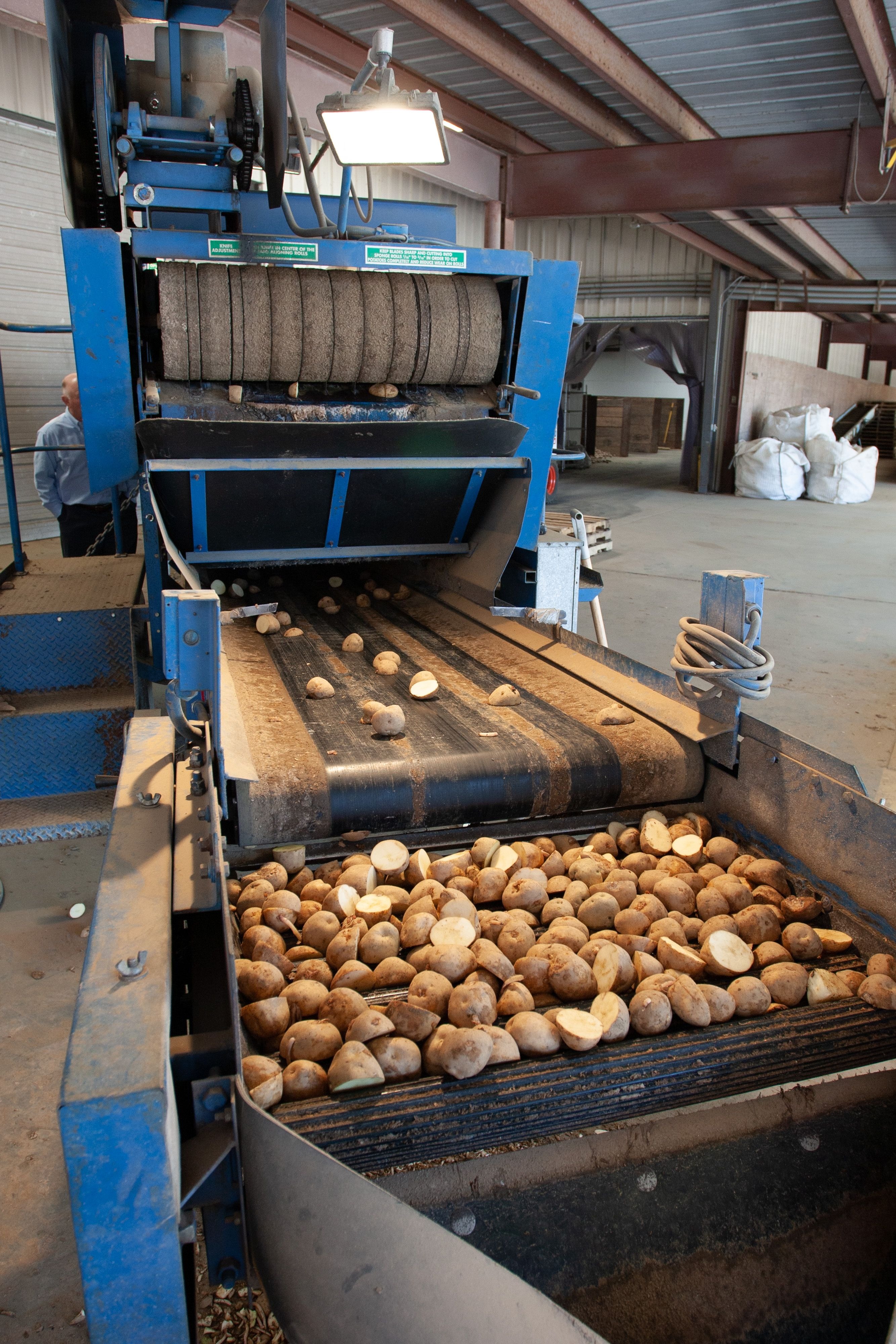 Revolutionizing the Food Industry: The Role of Technology in Transforming How We Eat