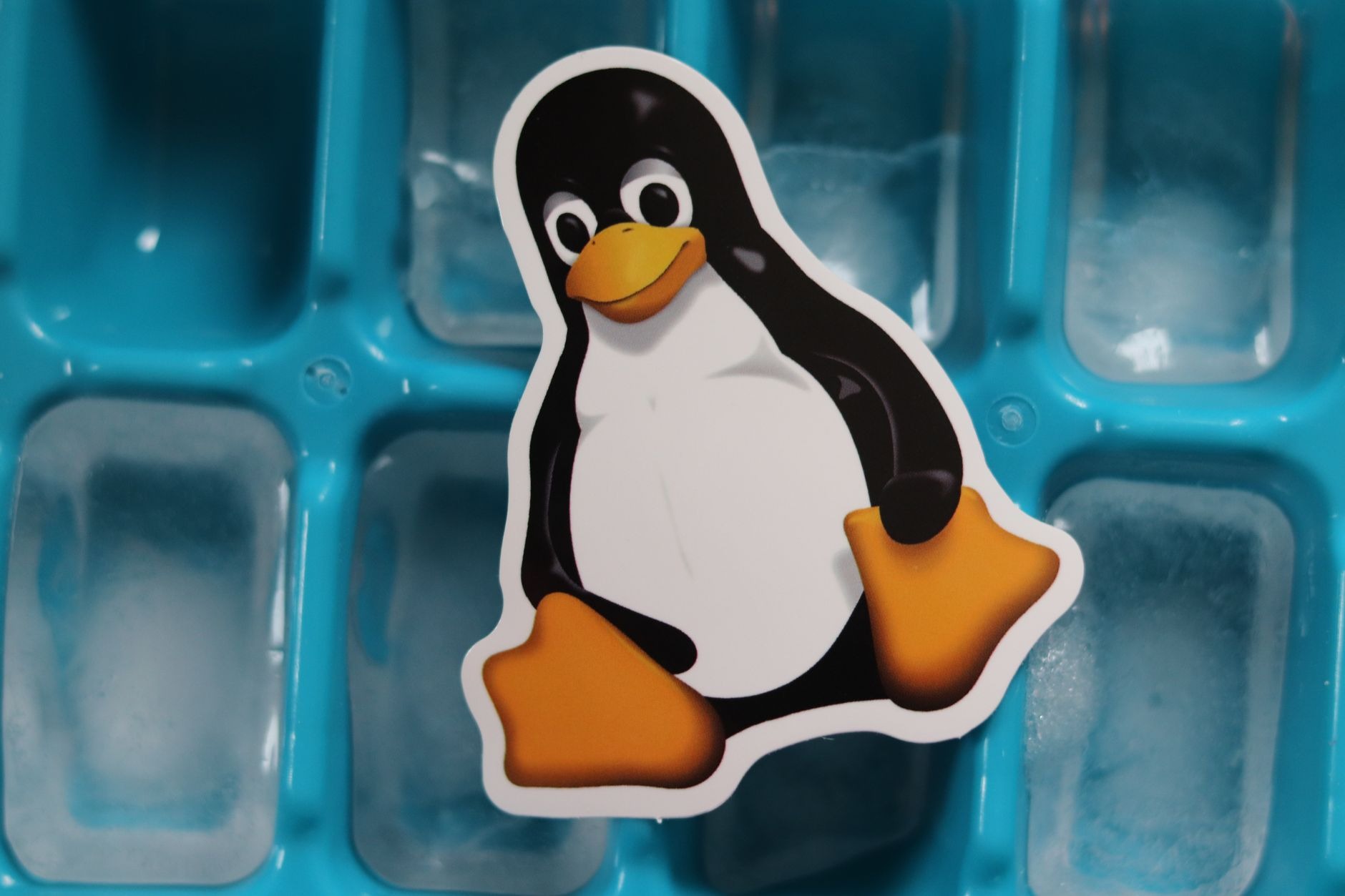 Linux Command Line Basics for Absolute Beginners