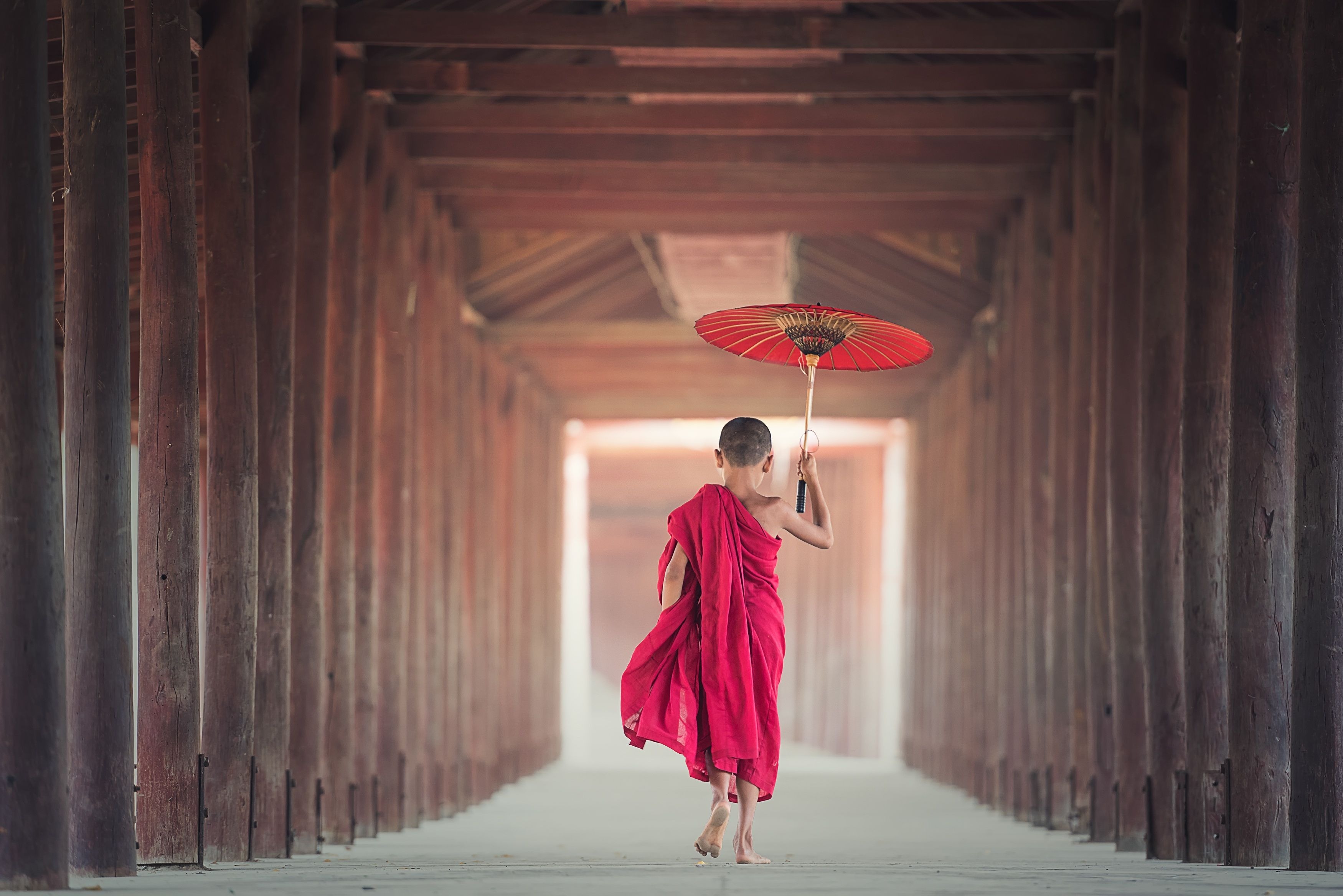 Buddhist Monastic Life: A Journey of Discipline and Devotion