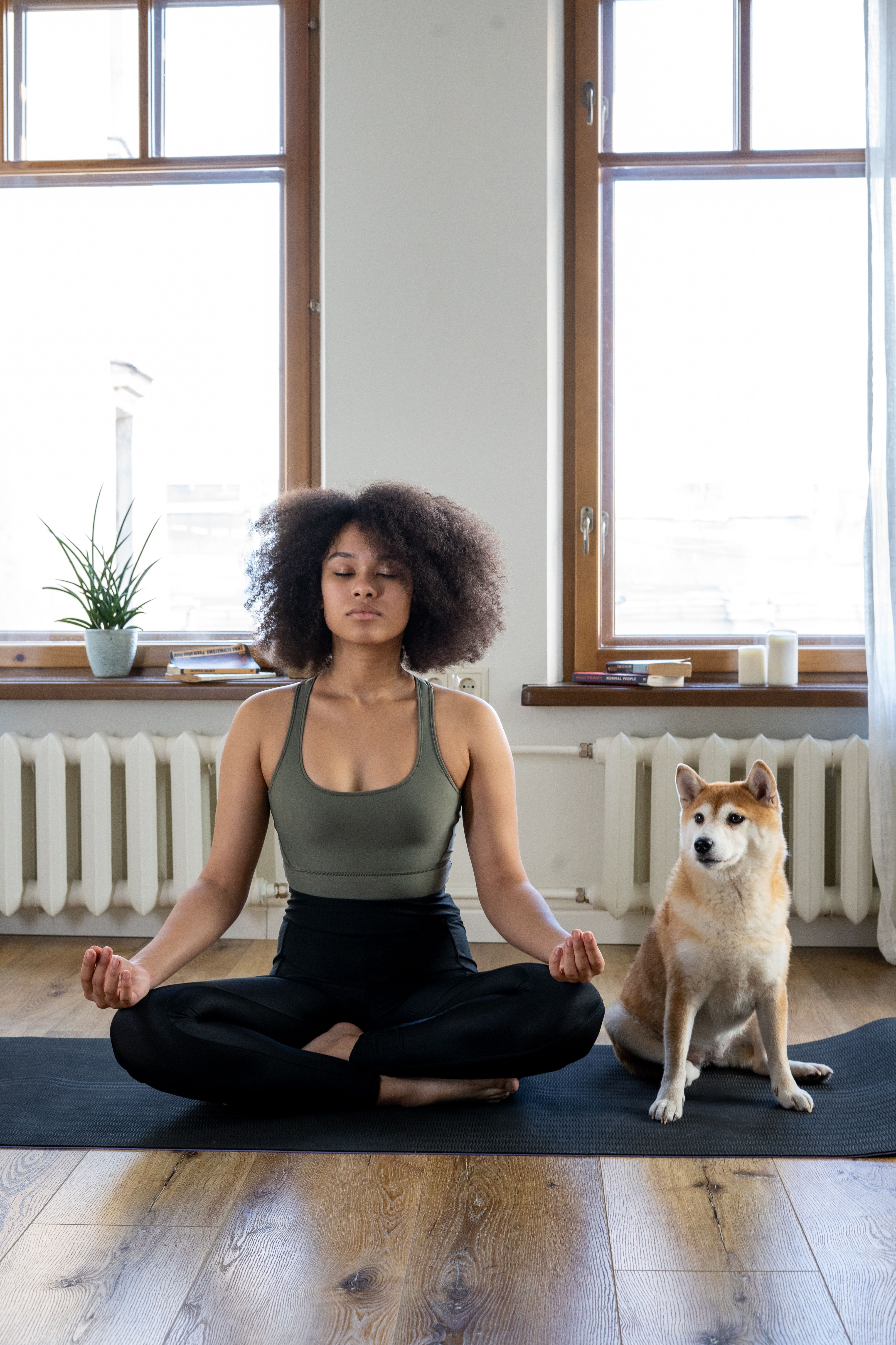 Stress and Anxiety: Your Guide to Finding Peace in a Busy World