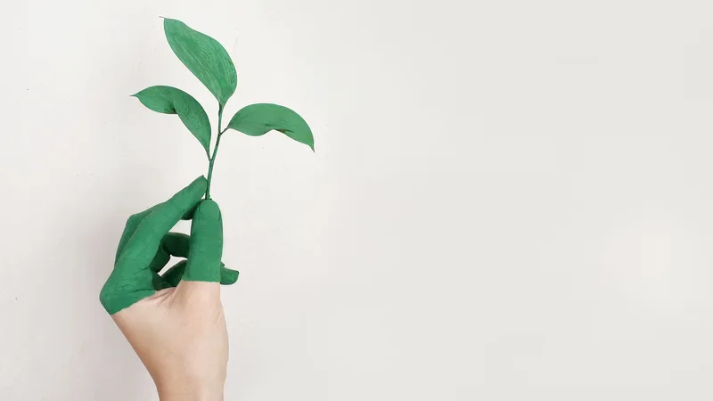 How to Practice Sustainable Living: A Guide for Eco-Friendly Lifestyles