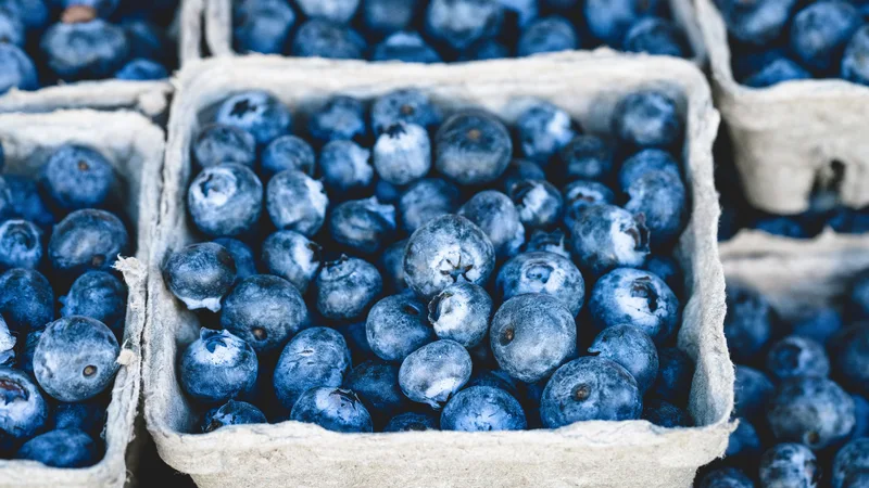 10 Superfoods You Should Include in Your Diet for Better Health