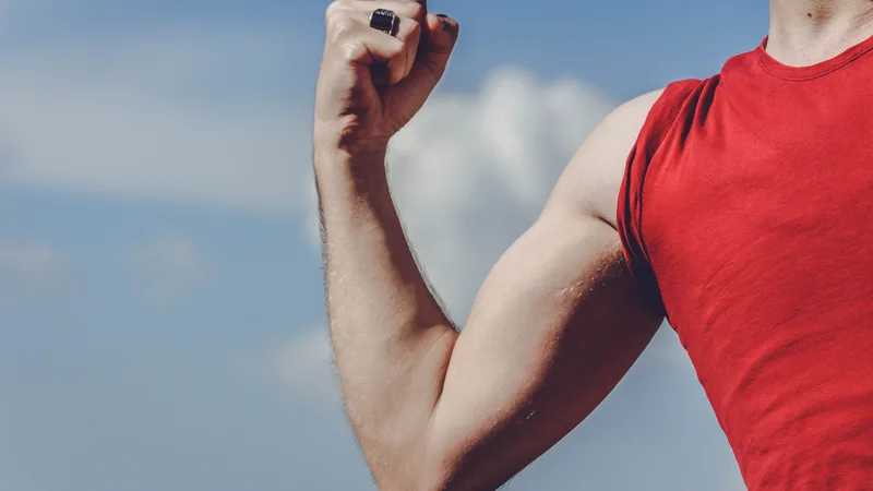 How to Build Muscle: Essential Tips for Beginners
