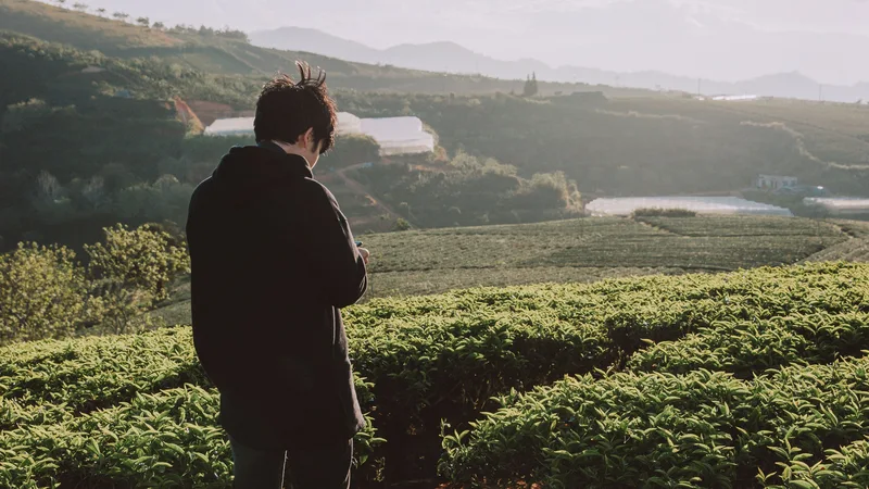 The Benefits of Spending Time in Nature: How Nature Improves Health