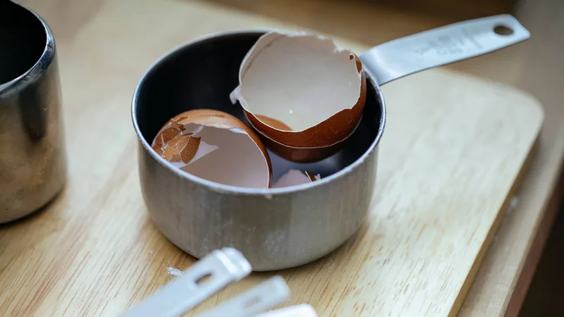 Sustainable Eating: Slash Food Waste and Embrace a Greener Kitchen