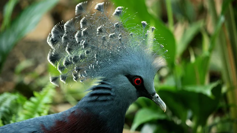 Citizen Science: How You Can Contribute to Wildlife Conservation Efforts