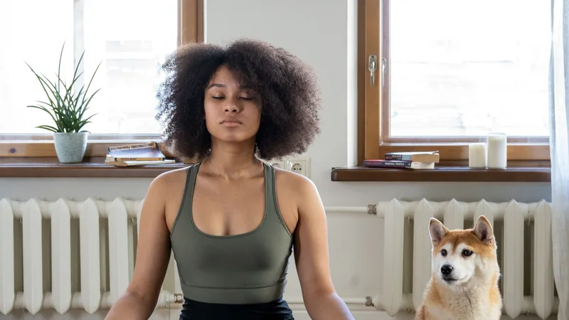 Stress and Anxiety: Your Guide to Finding Peace in a Busy World