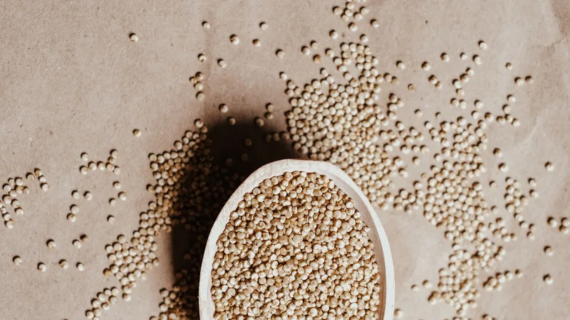 Quinoa: The Nutritional Powerhouse You Should Add to Your Diet