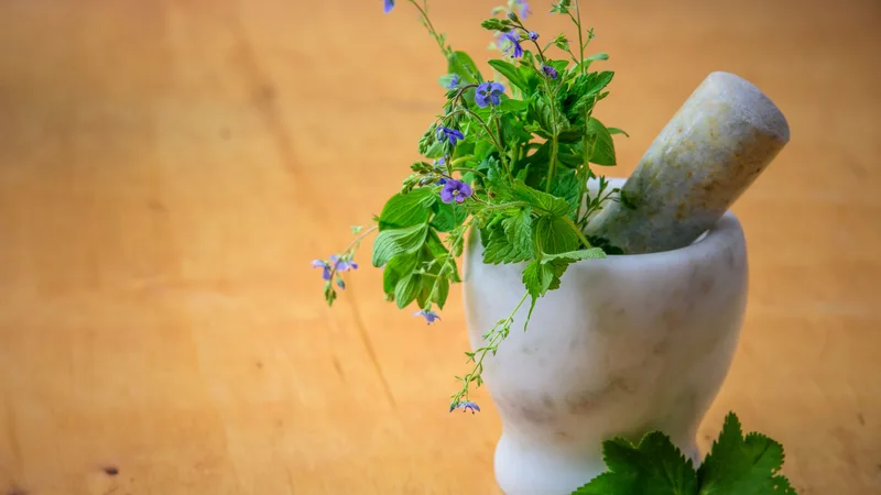 Herbal Remedies: Ancient Wisdom for Modern Ailments