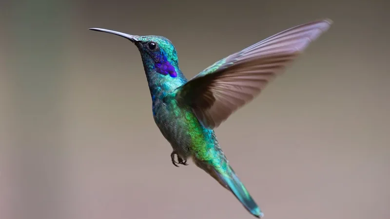 Unveiling the Wonders of the Animal Kingdom: 10 Fascinating Facts That Will Amaze You